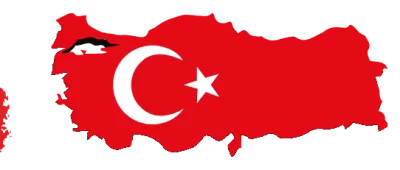 Fig 134