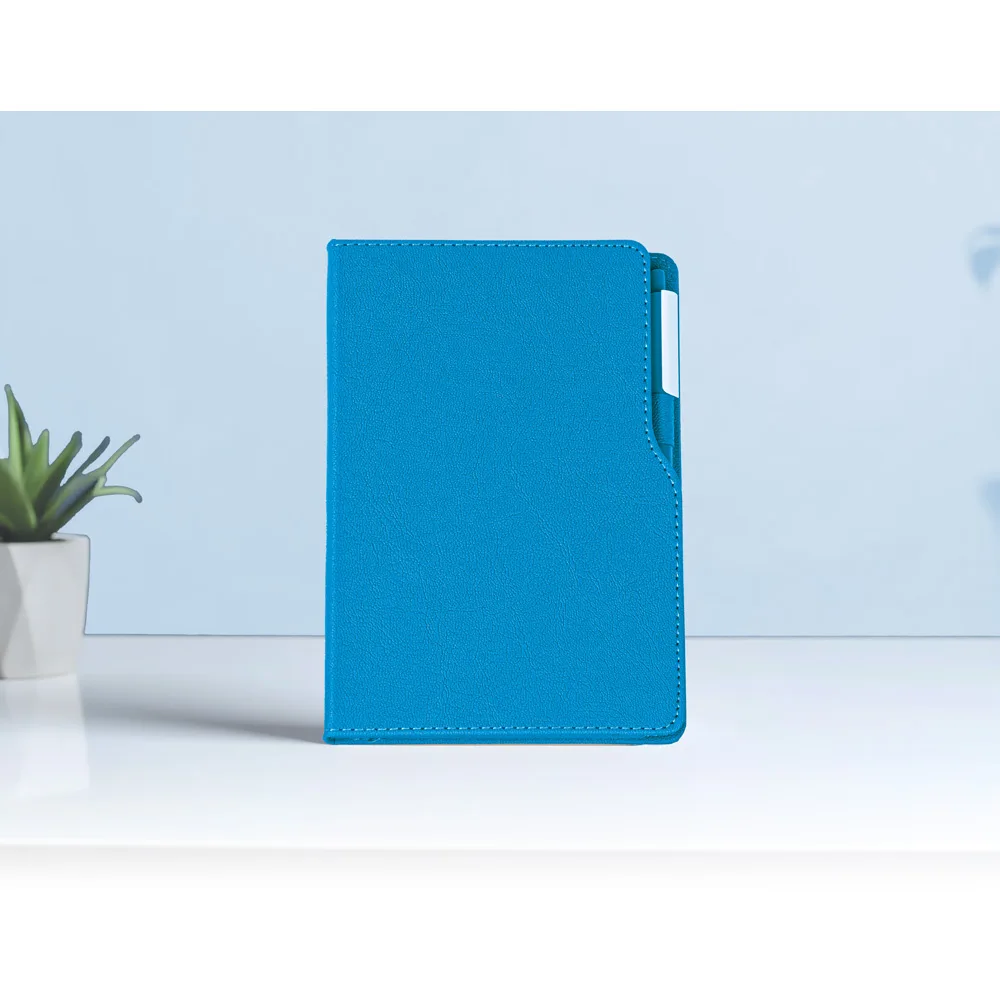 Tarihsiz Defter Çamlıca