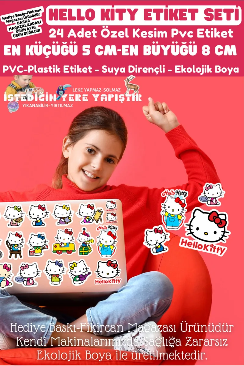 - Hello Kitty Etiket Seti - 24 Adet - Pvc Etiket - Laptop Tablet Vb. Tüm Ürünlere Yapışır — fotoğraf 6