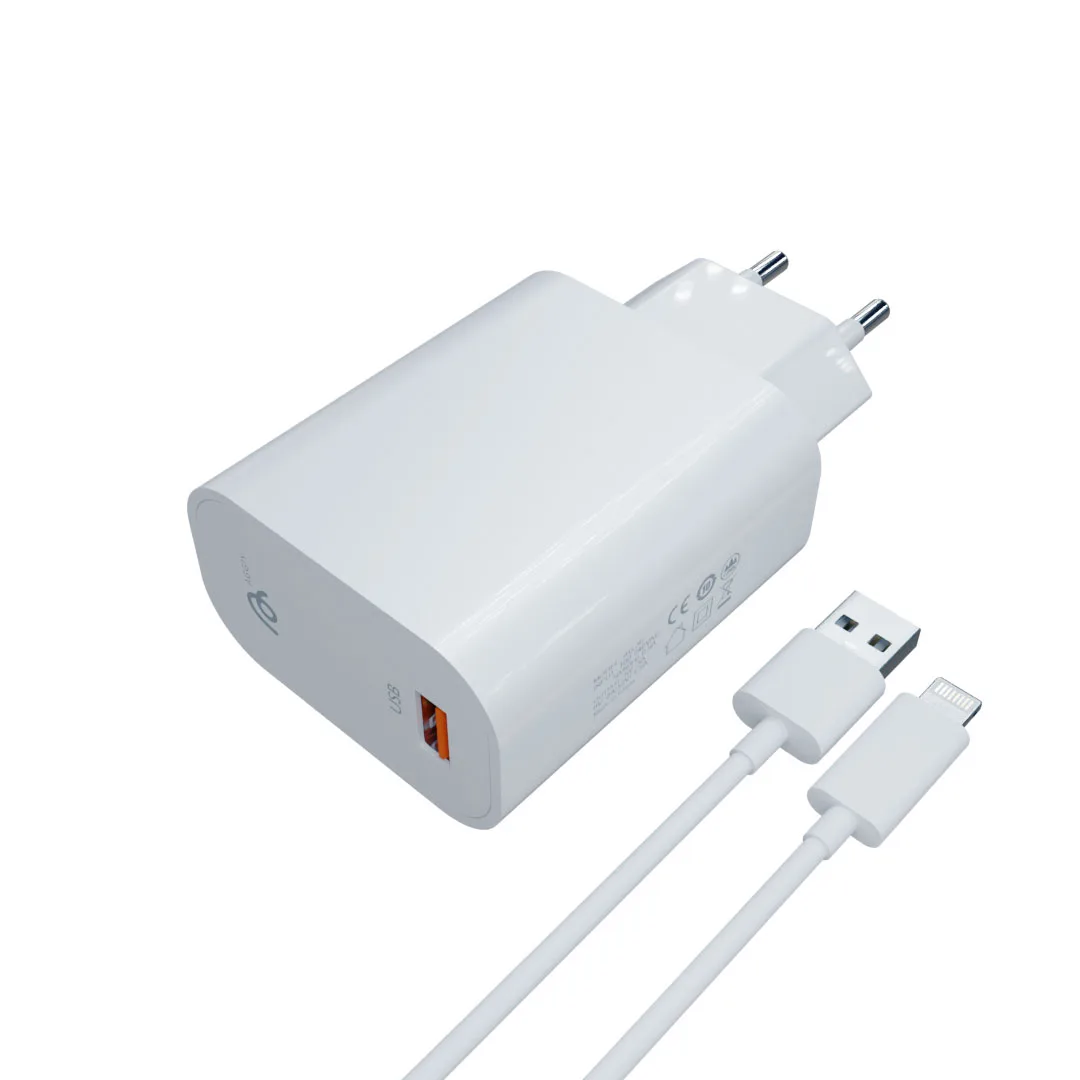 AG-10 12W QC3 Şarj Aleti USB to Lightining