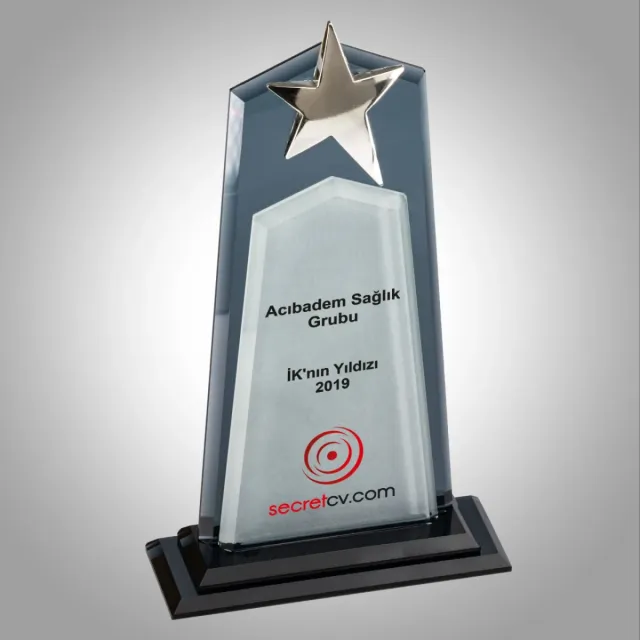PB609 Kristal Plaket
