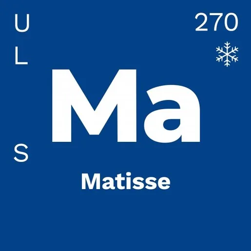 Berger Kanvas Matisse