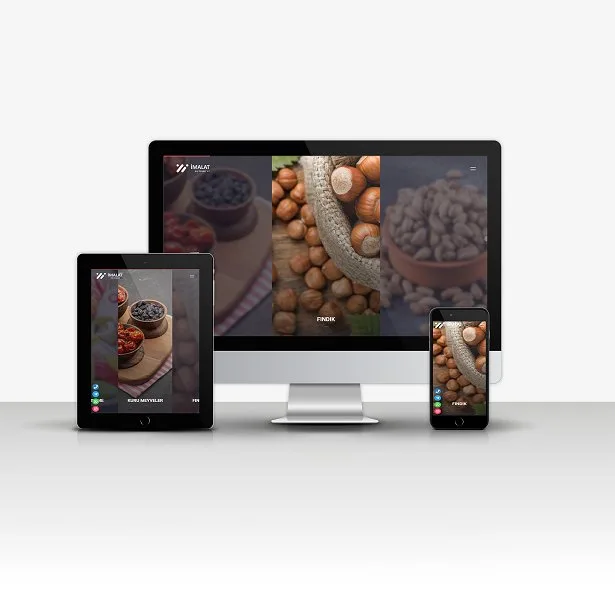İmalat & Dış Ticaret V2 Hazır Web Sitesi ekran görüntüsü